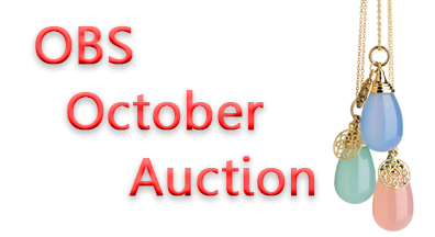 Special Event: OBS to hold an auction for a local charity